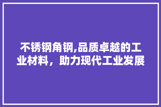 不锈钢角钢,品质卓越的工业材料，助力现代工业发展
