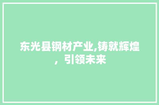 东光县钢材产业,铸就辉煌，引领未来