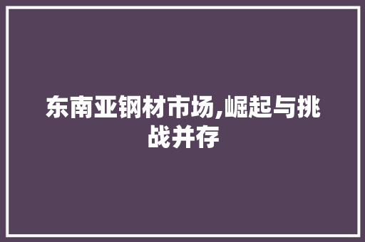 东南亚钢材市场,崛起与挑战并存