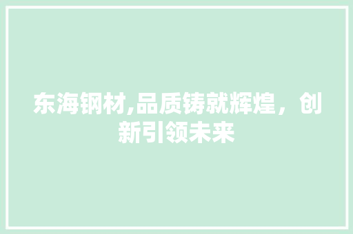 东海钢材,品质铸就辉煌，创新引领未来