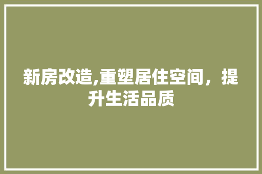 新房改造,重塑居住空间，提升生活品质