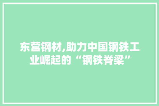 东营钢材,助力中国钢铁工业崛起的“钢铁脊梁”
