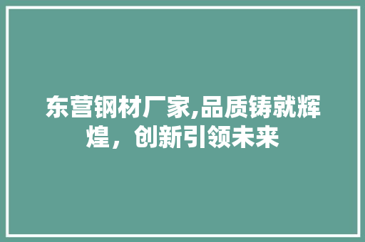 东营钢材厂家,品质铸就辉煌，创新引领未来