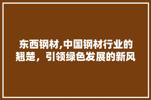 东西钢材,中国钢材行业的翘楚，引领绿色发展的新风尚