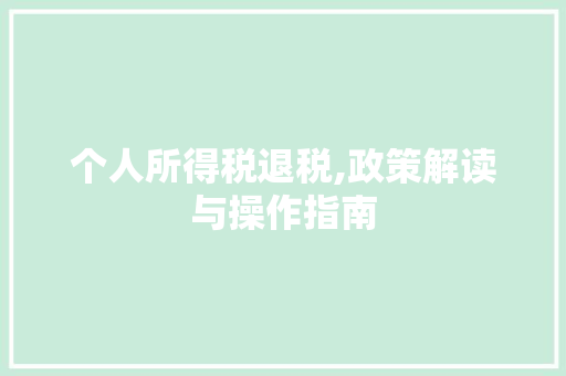个人所得税退税,政策解读与操作指南