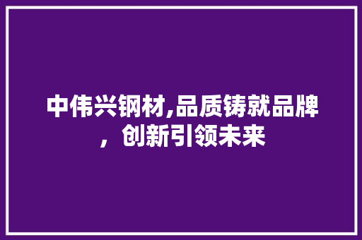中伟兴钢材,品质铸就品牌，创新引领未来