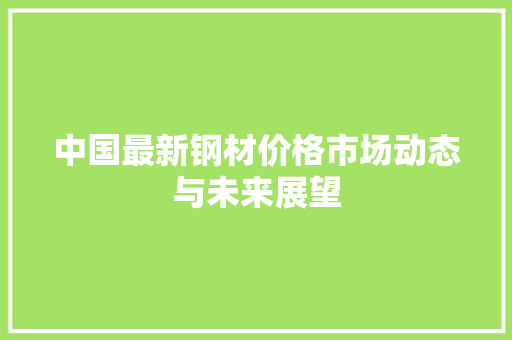 中国最新钢材价格市场动态与未来展望