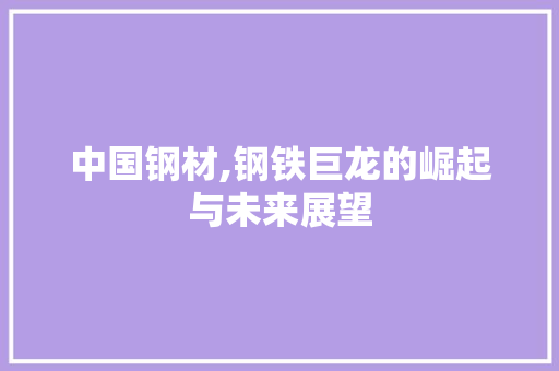 中国钢材,钢铁巨龙的崛起与未来展望