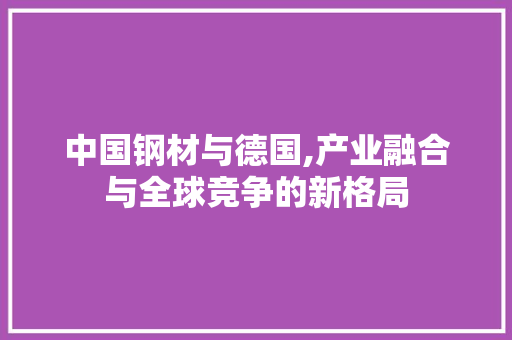 中国钢材与德国,产业融合与全球竞争的新格局