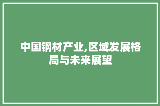 中国钢材产业,区域发展格局与未来展望