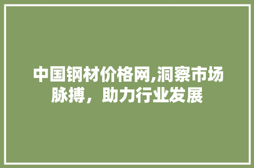 中国钢材价格网,洞察市场脉搏，助力行业发展