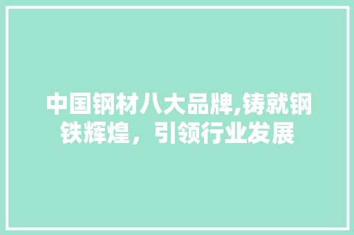 中国钢材八大品牌,铸就钢铁辉煌，引领行业发展