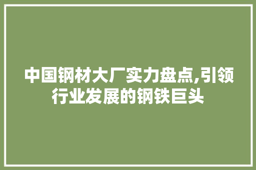 中国钢材大厂实力盘点,引领行业发展的钢铁巨头