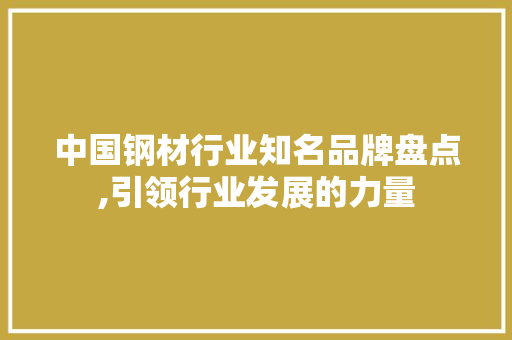 中国钢材行业知名品牌盘点,引领行业发展的力量
