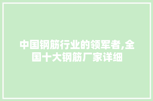 中国钢筋行业的领军者,全国十大钢筋厂家详细