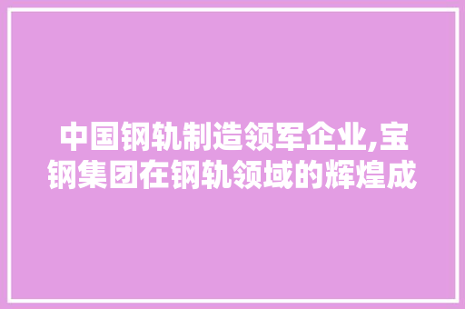 中国钢轨制造领军企业,宝钢集团在钢轨领域的辉煌成就
