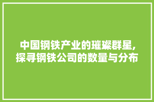 中国钢铁产业的璀璨群星,探寻钢铁公司的数量与分布