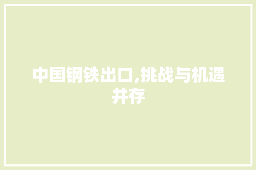 中国钢铁出口,挑战与机遇并存