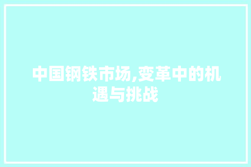 中国钢铁市场,变革中的机遇与挑战