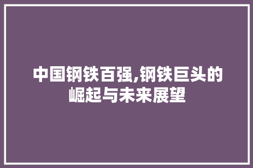 中国钢铁百强,钢铁巨头的崛起与未来展望