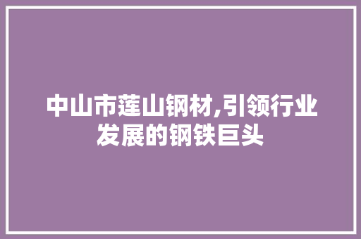 中山市莲山钢材,引领行业发展的钢铁巨头
