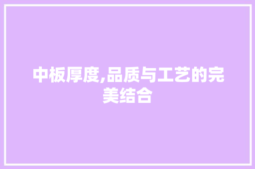 中板厚度,品质与工艺的完美结合