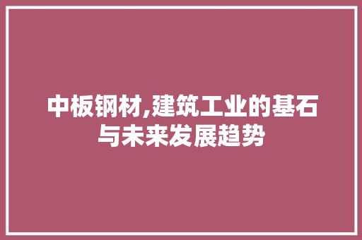 中板钢材,建筑工业的基石与未来发展趋势