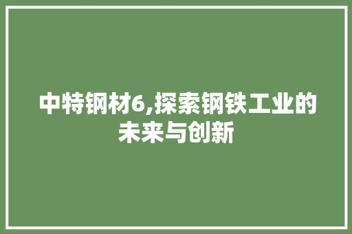 中特钢材6,探索钢铁工业的未来与创新