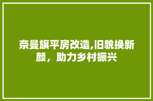 奈曼旗平房改造,旧貌换新颜，助力乡村振兴