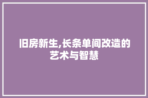 旧房新生,长条单间改造的艺术与智慧