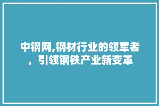 中钢网,钢材行业的领军者，引领钢铁产业新变革