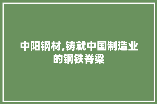 中阳钢材,铸就中国制造业的钢铁脊梁