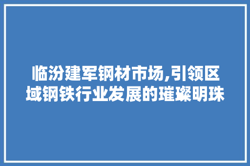 临汾建军钢材市场,引领区域钢铁行业发展的璀璨明珠
