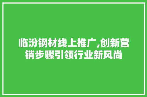 临汾钢材线上推广,创新营销步骤引领行业新风尚