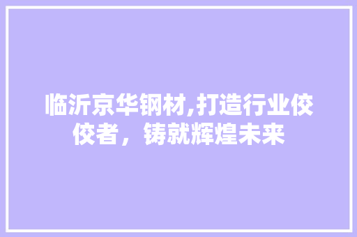 临沂京华钢材,打造行业佼佼者，铸就辉煌未来