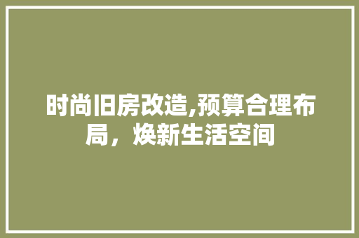 时尚旧房改造,预算合理布局，焕新生活空间