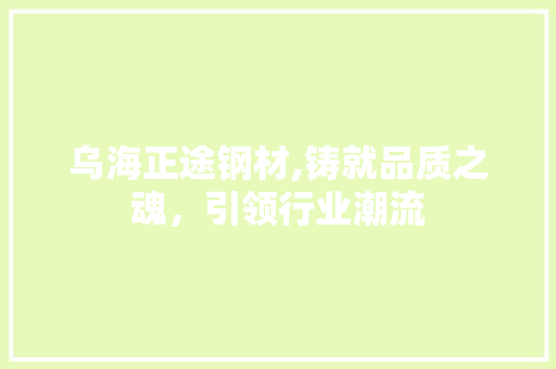乌海正途钢材,铸就品质之魂，引领行业潮流
