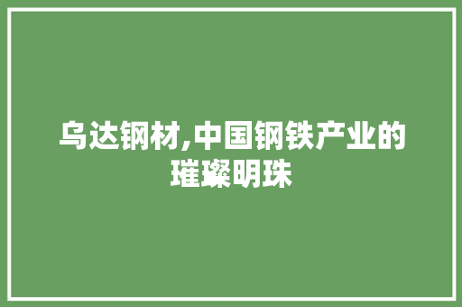 乌达钢材,中国钢铁产业的璀璨明珠