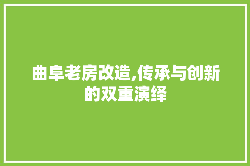 曲阜老房改造,传承与创新的双重演绎