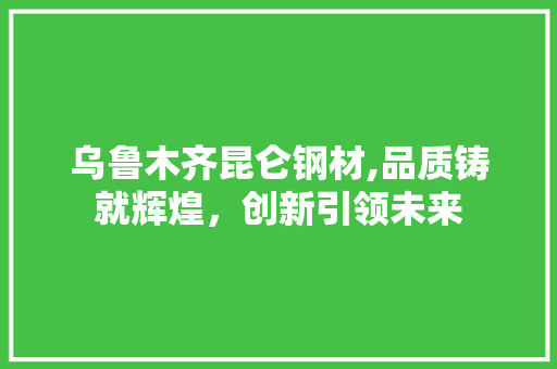 乌鲁木齐昆仑钢材,品质铸就辉煌，创新引领未来