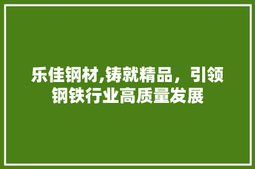 乐佳钢材,铸就精品，引领钢铁行业高质量发展