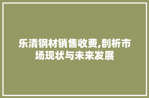 乐清钢材销售收费,剖析市场现状与未来发展