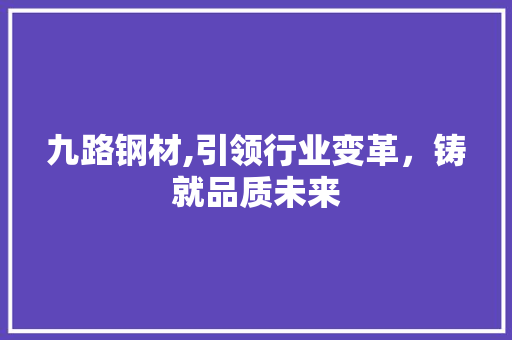 九路钢材,引领行业变革，铸就品质未来