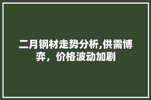二月钢材走势分析,供需博弈，价格波动加剧