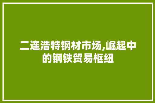 二连浩特钢材市场,崛起中的钢铁贸易枢纽