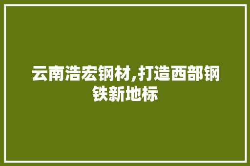 云南浩宏钢材,打造西部钢铁新地标