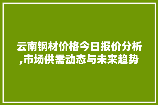 云南钢材价格今日报价分析,市场供需动态与未来趋势展望