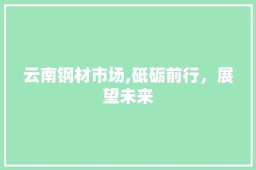 云南钢材市场,砥砺前行，展望未来