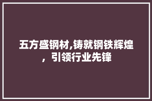 五方盛钢材,铸就钢铁辉煌，引领行业先锋