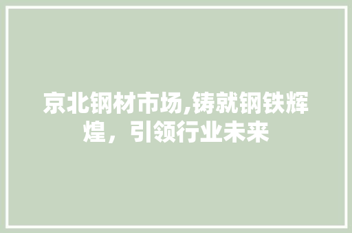 京北钢材市场,铸就钢铁辉煌，引领行业未来